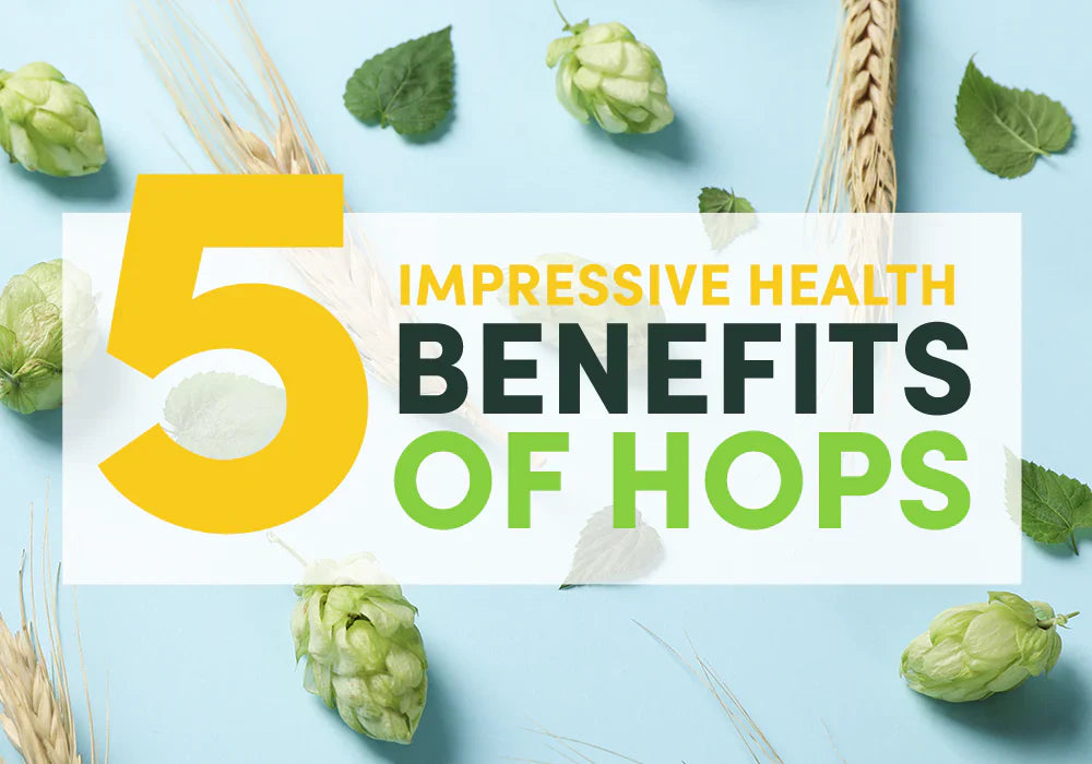 Graphic showing hops and barley with text highlighting 5 impressive health benefits of hops