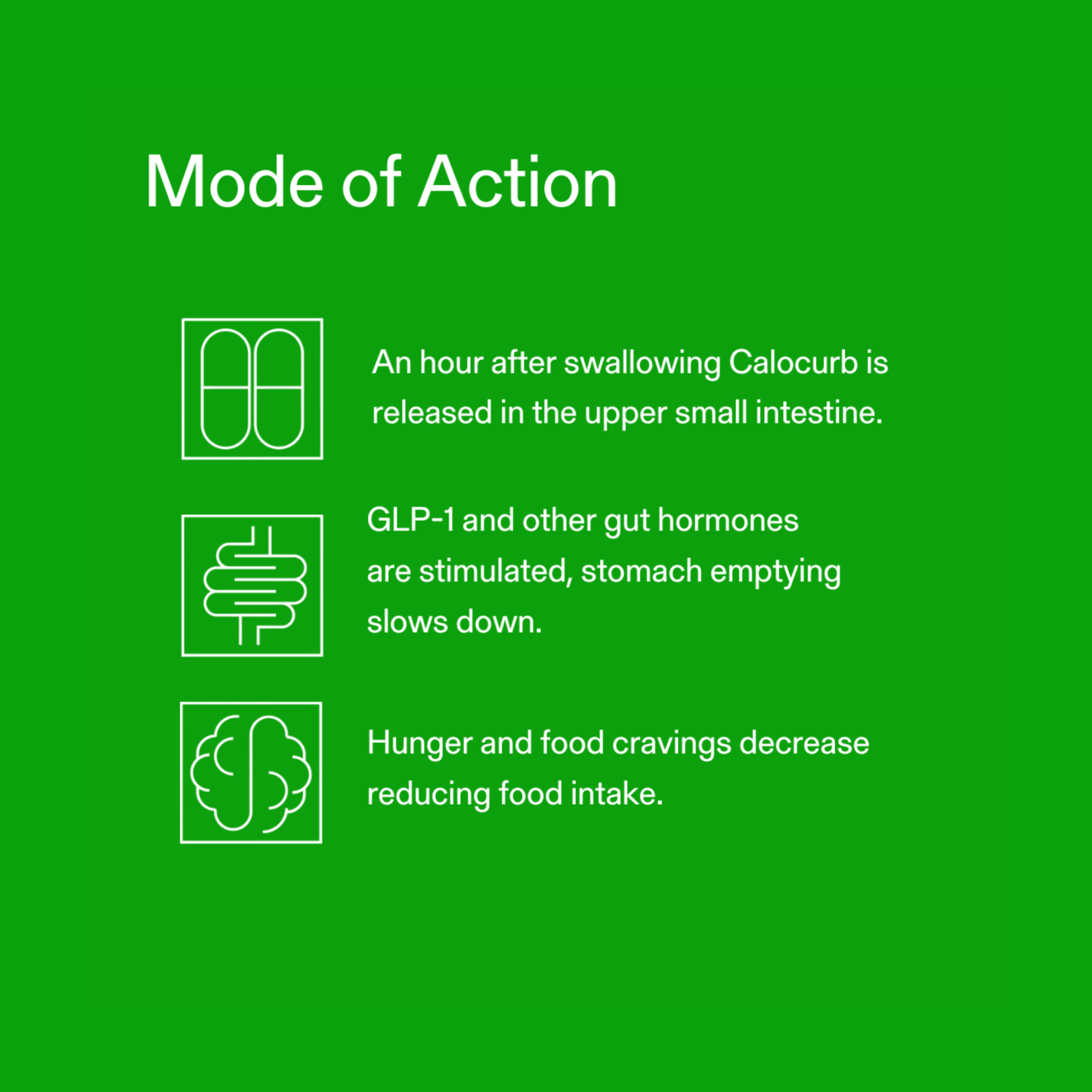 Calocurb GLP-1 Activator – Clinically Proven & Natural