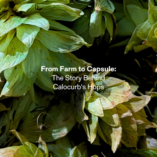 calocurb hops plant close-up new zealand amarasate natural appetite support ingredient farm to capsule