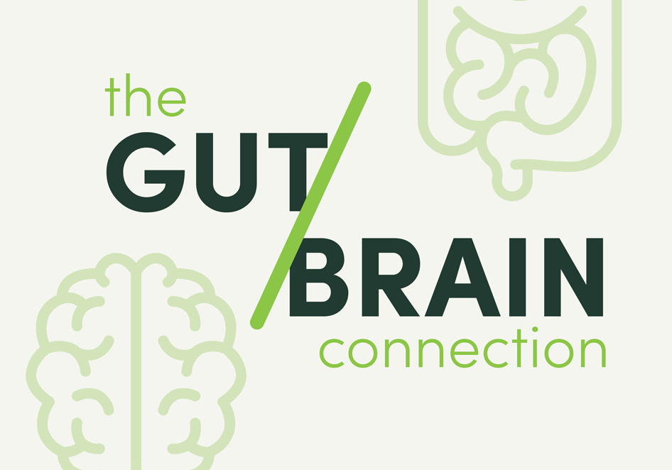 The Gut-Brain Connection: How It Works