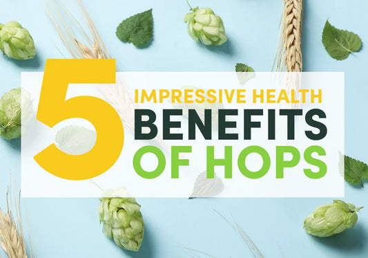 Graphic showing hops and barley with text highlighting 5 impressive health benefits of hops