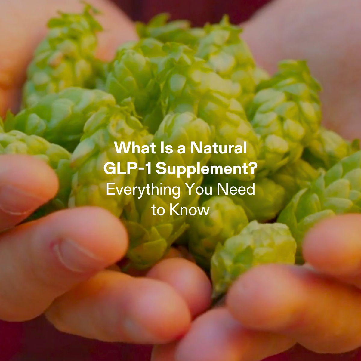 What Is a Natural GLP-1 Supplement? Everything You Need to Know