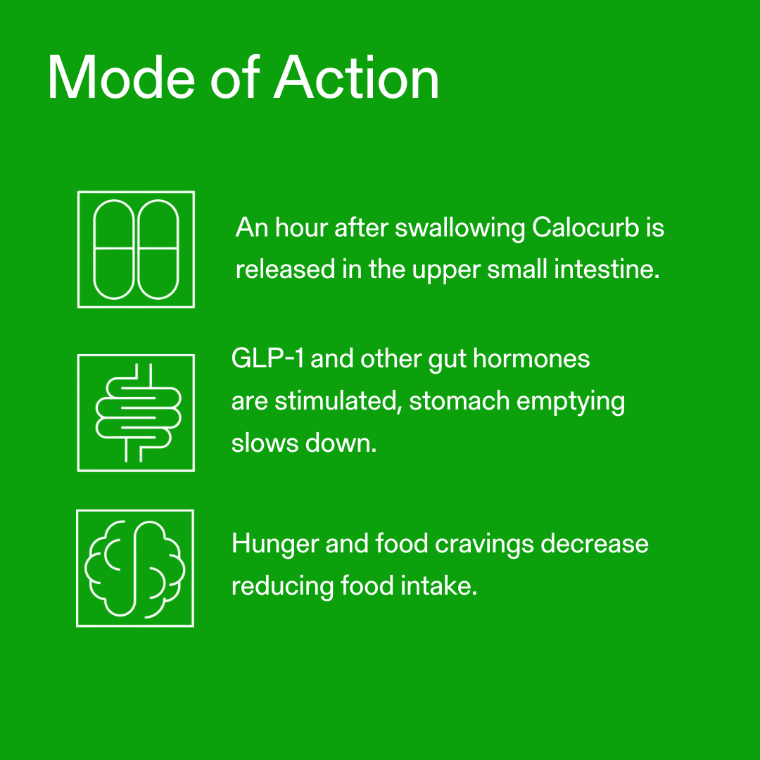 Calocurb GLP-1 Activator – Clinically Proven & Natural – Calocurb.com